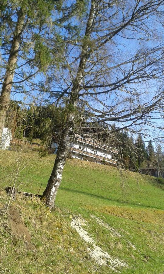 Pension Chalet Bergseegut Wagrain Exterior foto