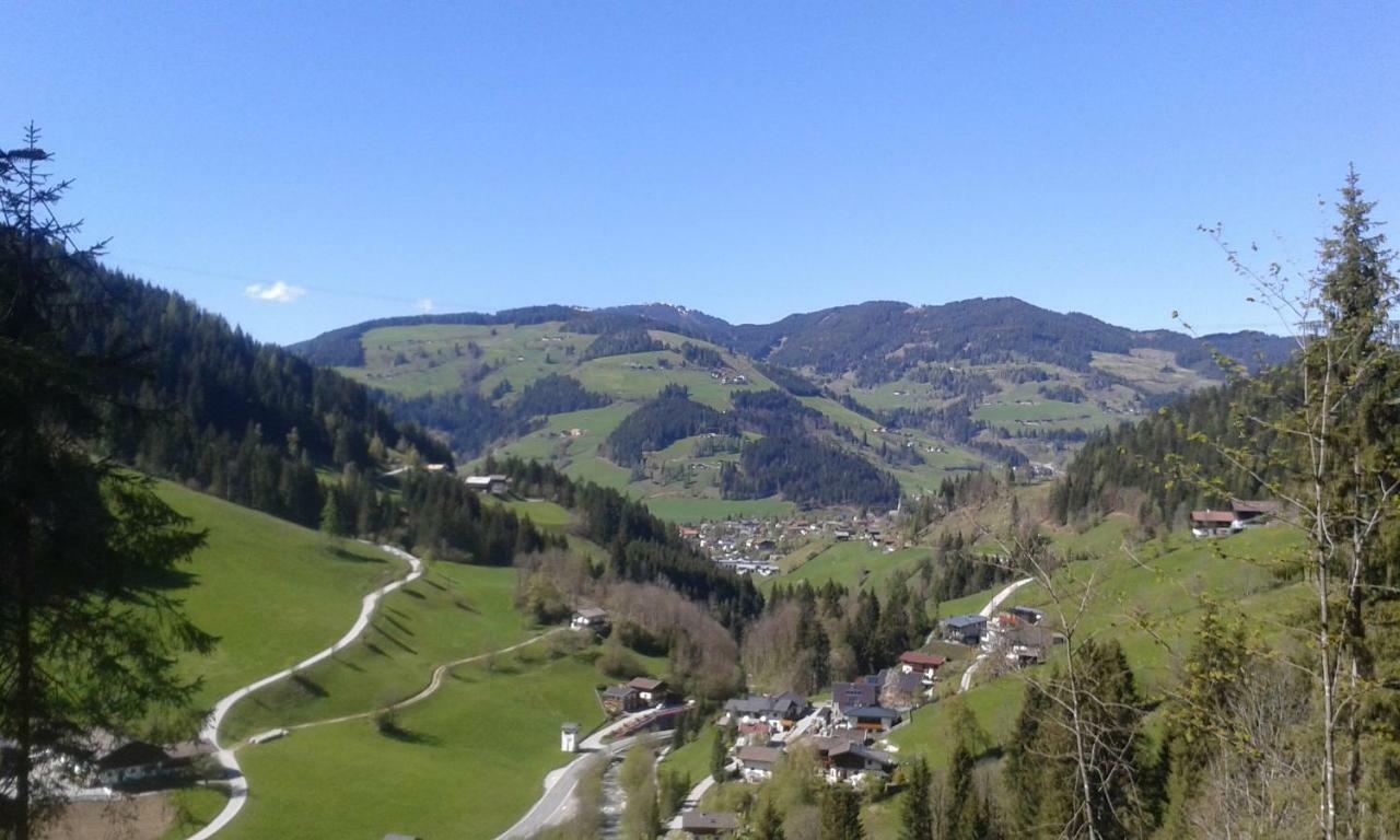 Pension Chalet Bergseegut Wagrain Exterior foto