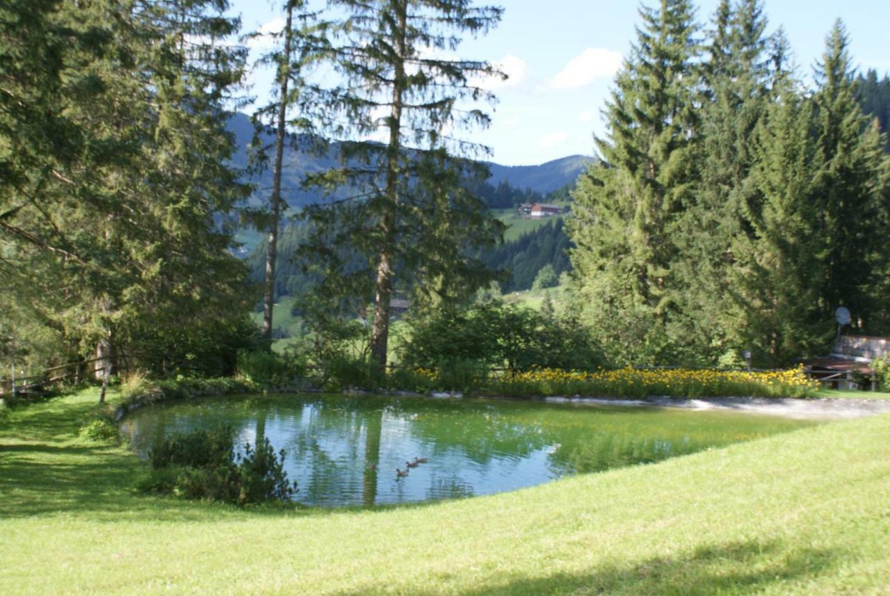 Pension Chalet Bergseegut Wagrain Exterior foto