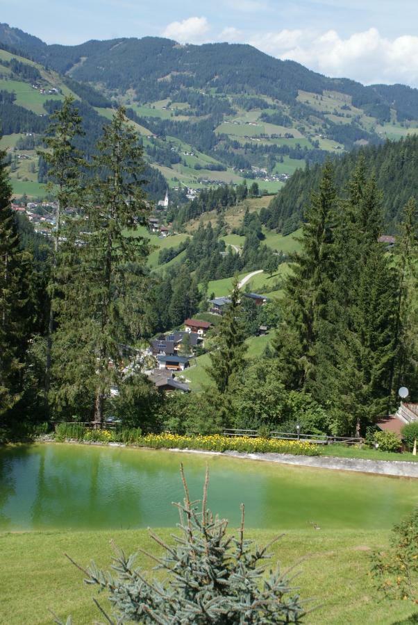 Pension Chalet Bergseegut Wagrain Exterior foto