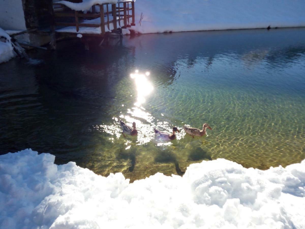 Pension Chalet Bergseegut Wagrain Exterior foto