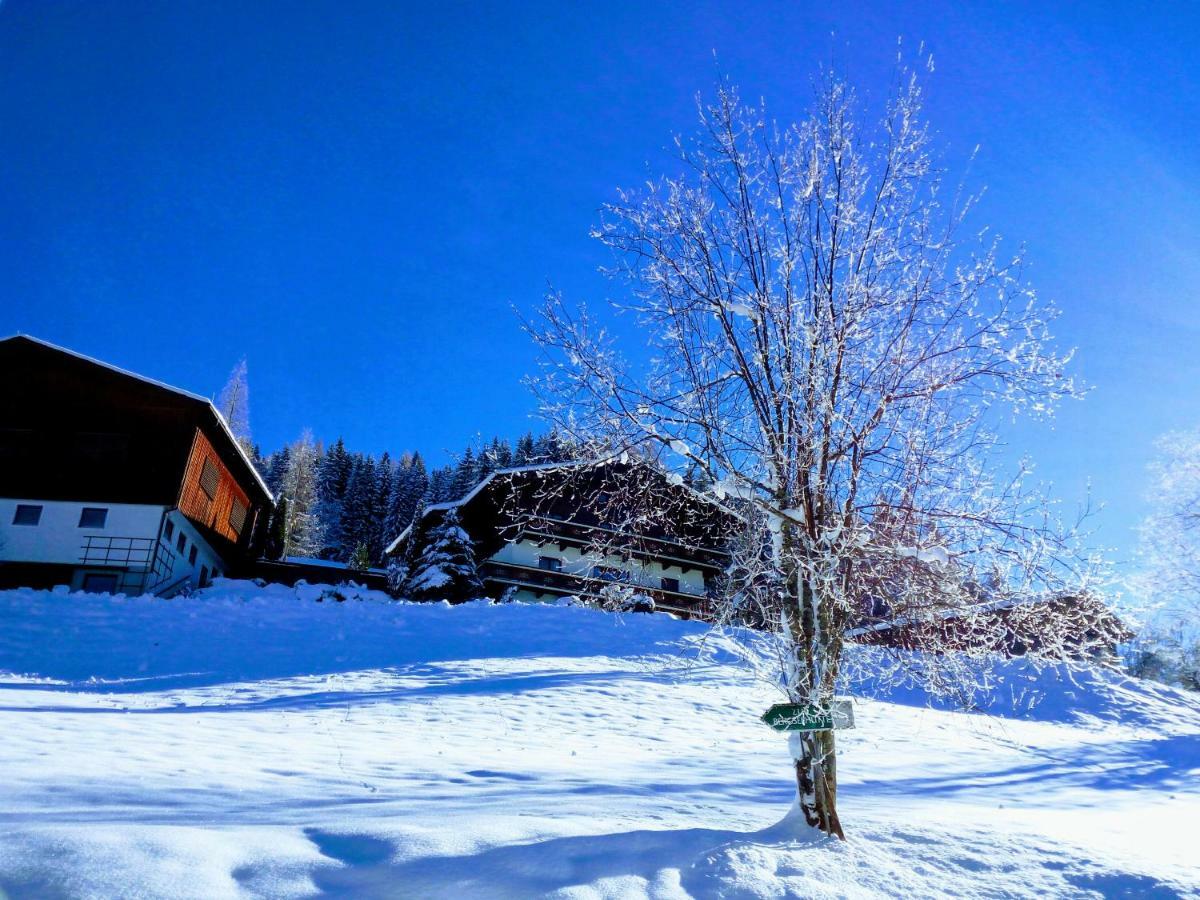Pension Chalet Bergseegut Wagrain Exterior foto