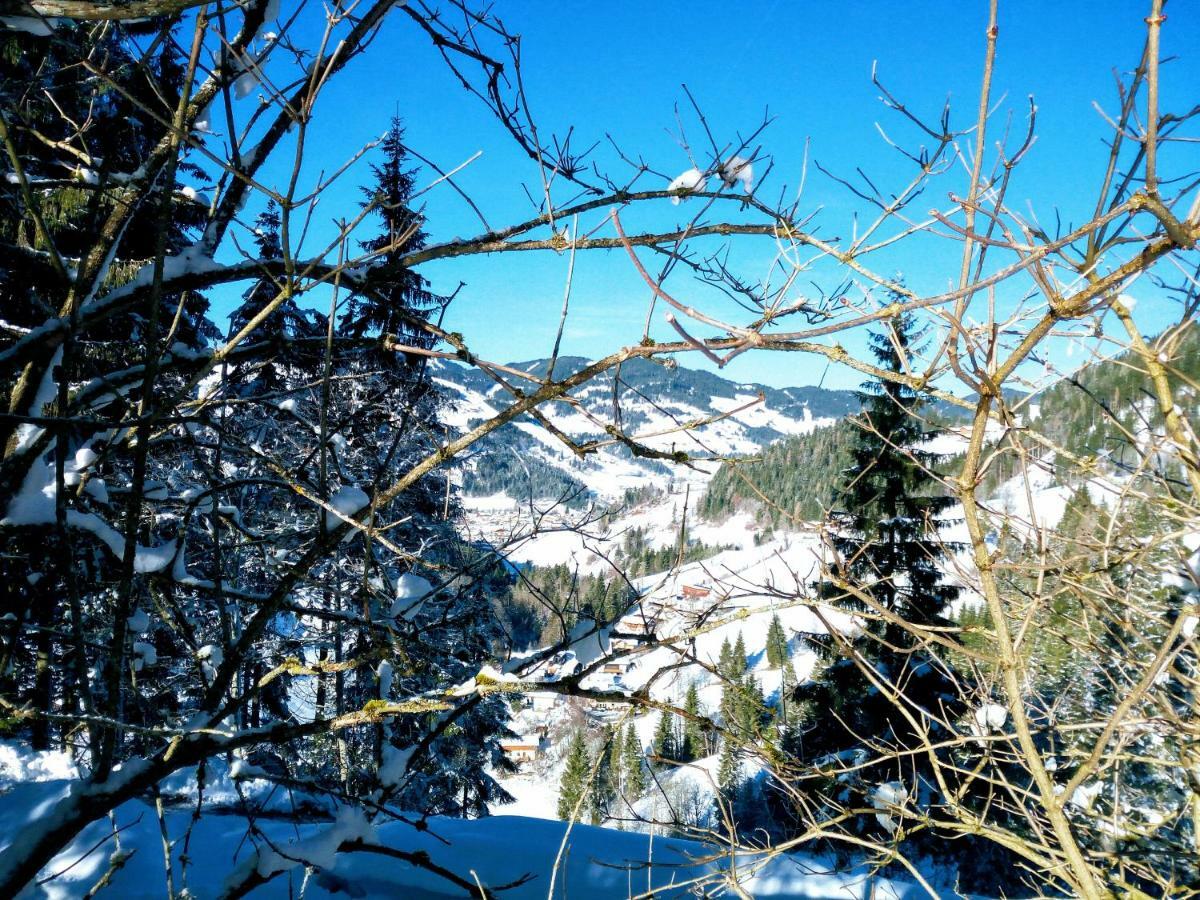 Pension Chalet Bergseegut Wagrain Exterior foto