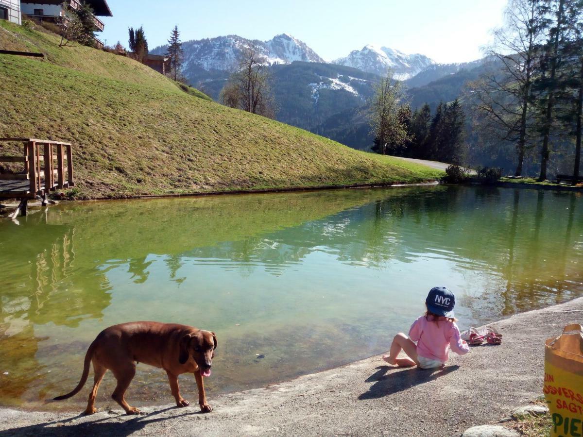 Pension Chalet Bergseegut Wagrain Exterior foto